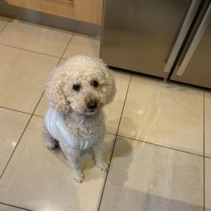 Meet your Posher, Maria